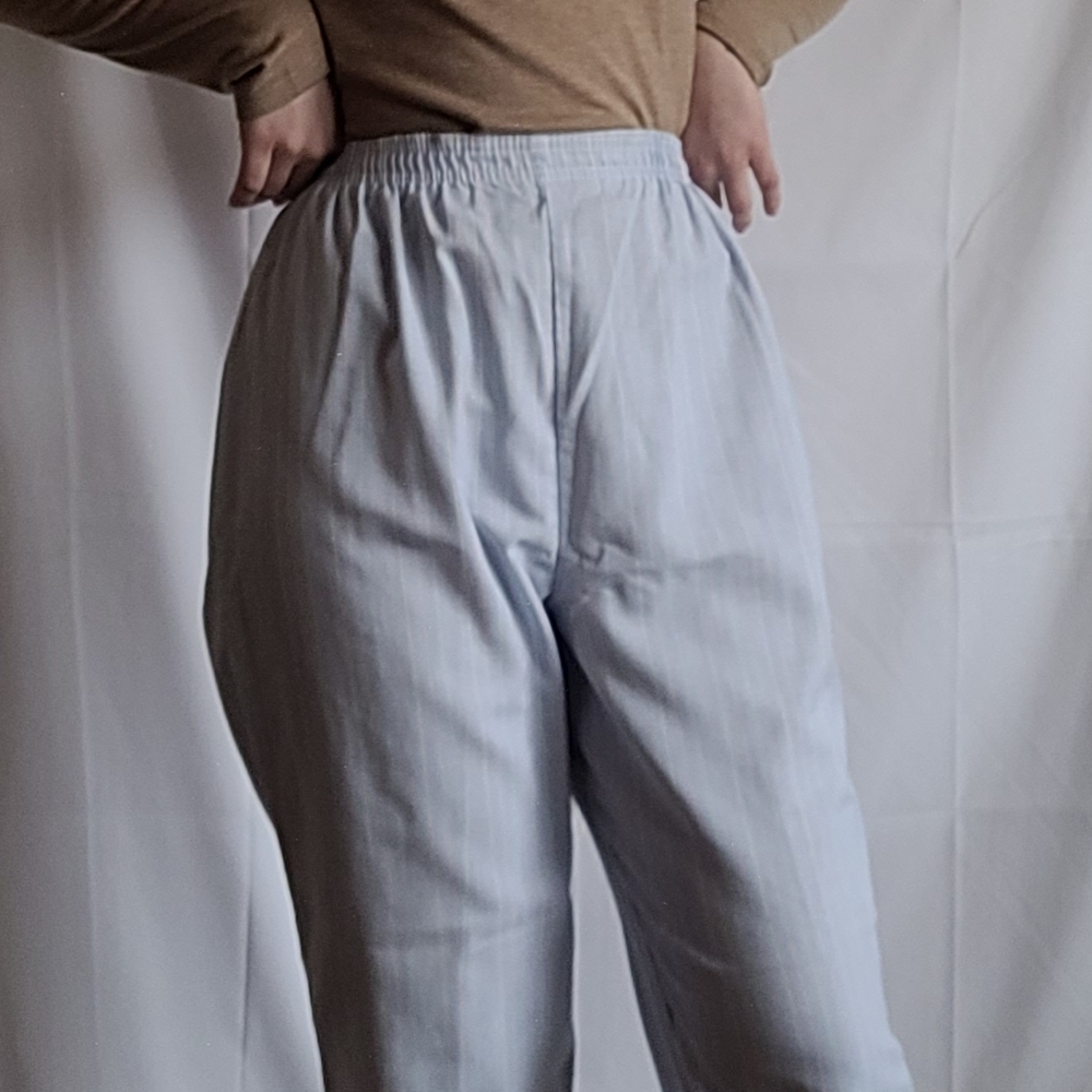 Vintage Sheer Pastel Blue Colorful Pinstriped Elastic Waist High Rise Pants